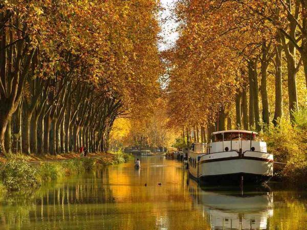 Chambre D'Hotes Neptune Wood Arzens Bilik gambar